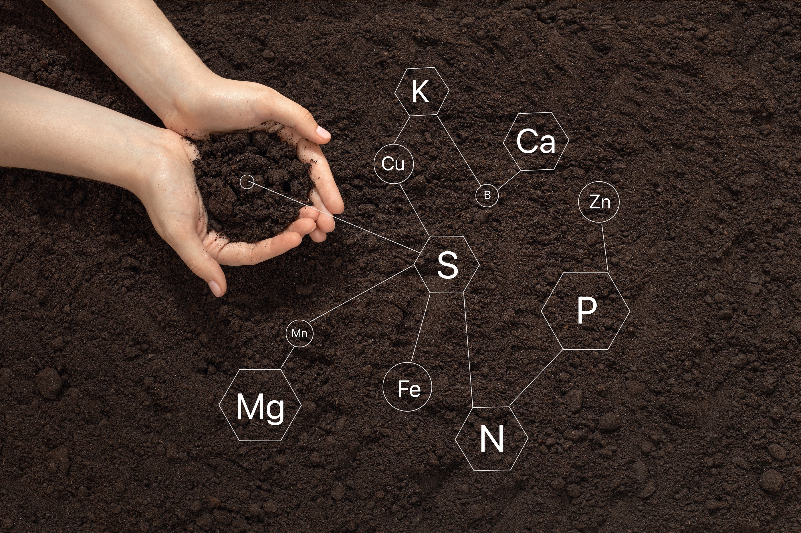 The 5 Components of Healthy Soil