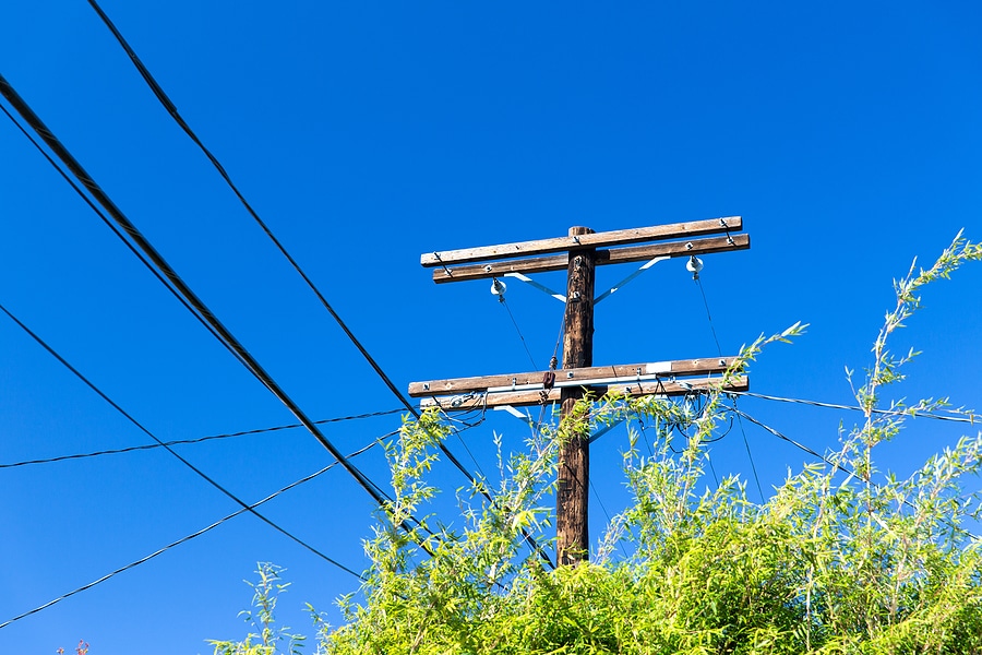 How Trees Pose a Risk to Power Lines