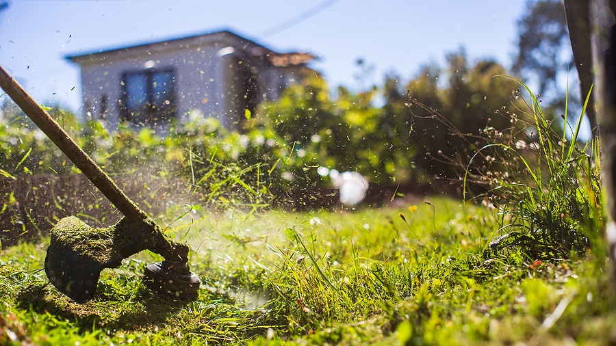 5 Common Lawn Care Misconceptions