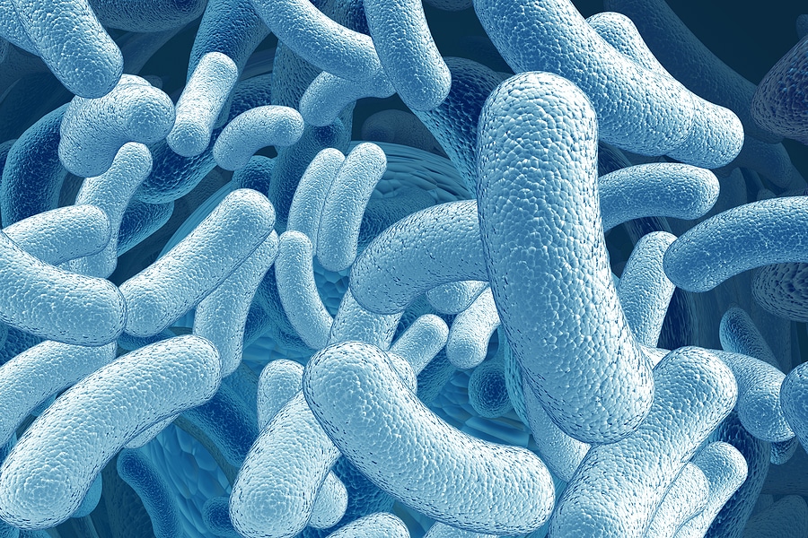 5 Types of Soil Microorganisms