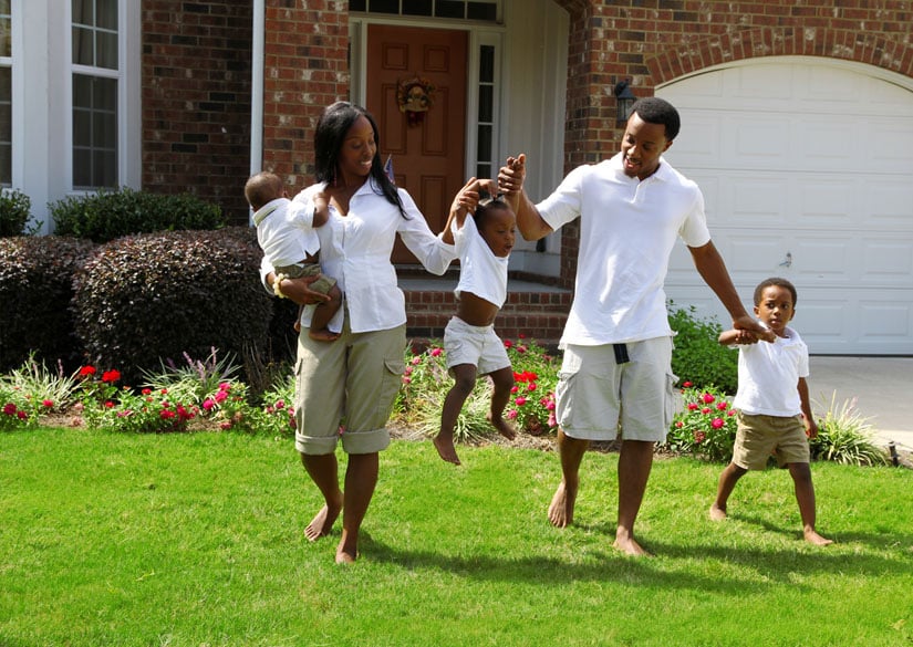 Get effective weed control for dandelions in North Carolina from Nature's Select.