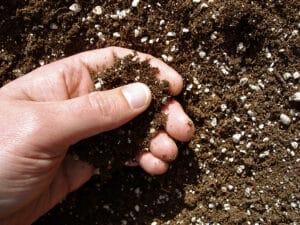 The Benefits of Working With Soil Specialists