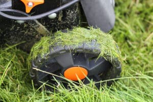 Why You Shouldn't Mow Wet Grass  